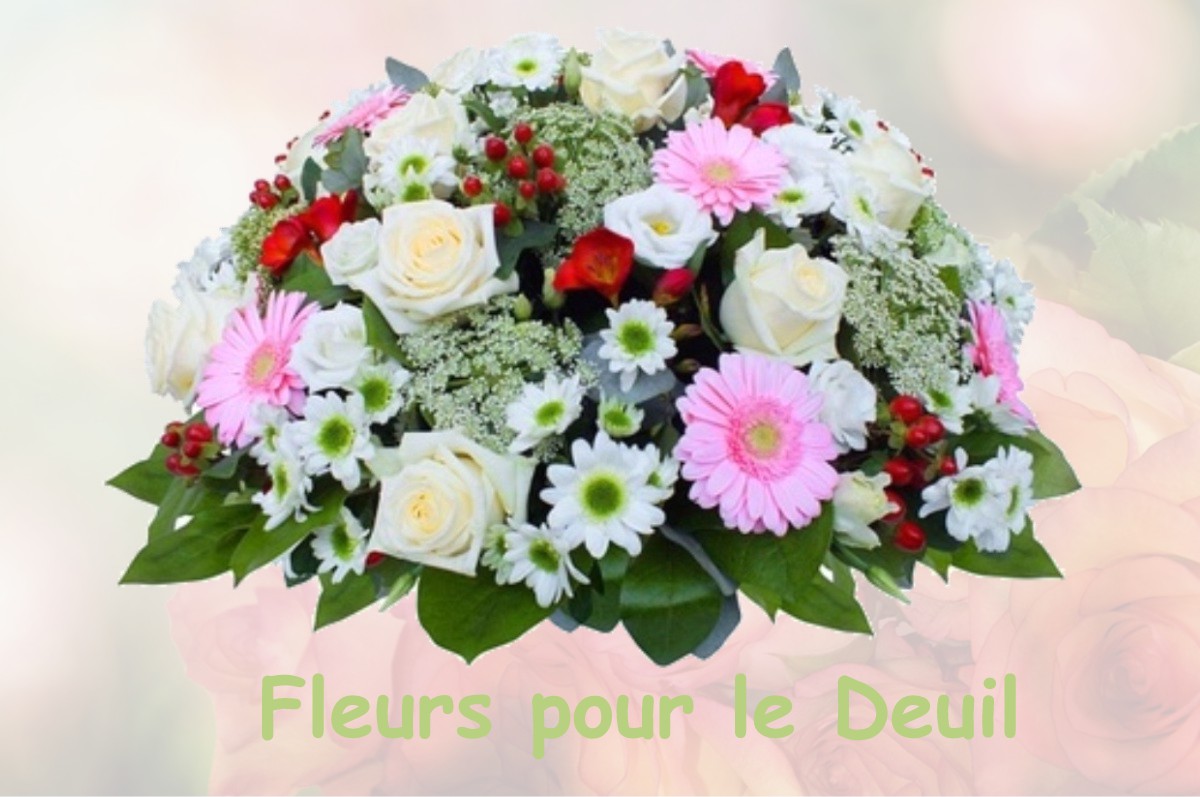 fleurs deuil LA-CHAIZE-LE-VICOMTE